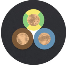 Coupe transversale d'un câble électrique à trois fils