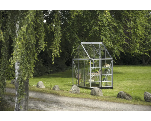 Gewächshaus im Garten mit Pflanzenregalen.