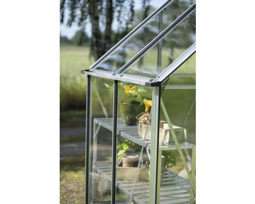 Nahaufnahme eines Gewächshauses mit Regalen und Pflanzen