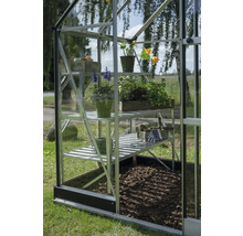 Gewächshaus mit Regalen und Pflanzen