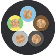 Section transversale d'un câble électrique à cinq conducteurs