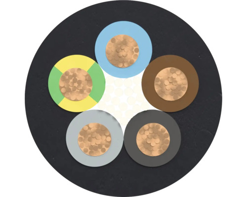 Section transversale d'un câble électrique à cinq conducteurs