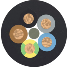 Section transversale d'un câble électrique à cinq conducteurs