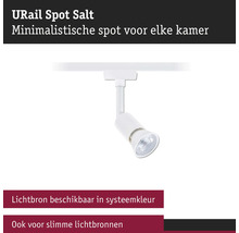 Luminaire URail Spot Salt