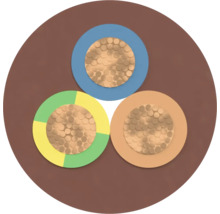 Coupe transversale d'un câble d'alimentation à trois conducteurs