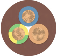 Section transversale d'un câble d'alimentation à trois conducteurs