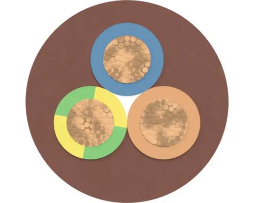 Section transversale d'un câble d'alimentation à trois conducteurs