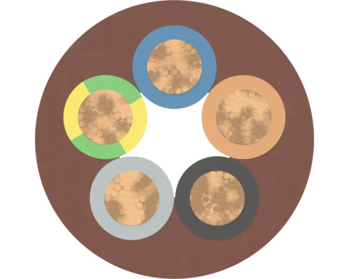 Section transversale d'un câble électrique à cinq fils