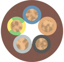 Coupe transversale d'un câble électrique avec plusieurs conducteurs