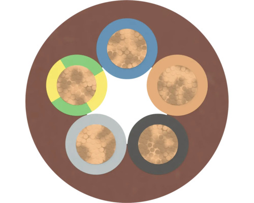 Coupe transversale d'un câble électrique avec plusieurs conducteurs