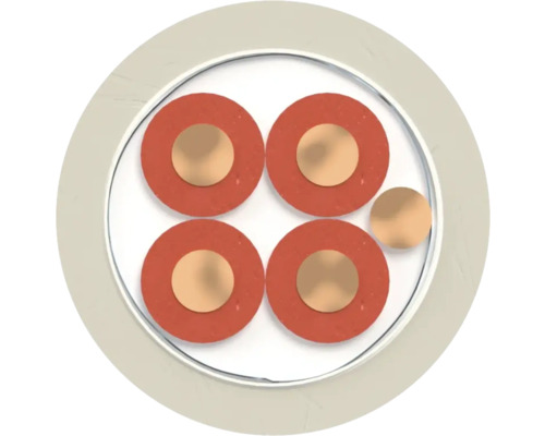 Section transversale d'un câble électrique avec cinq fils