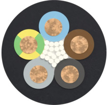 Section transversale d'un câble électrique avec plusieurs conducteurs