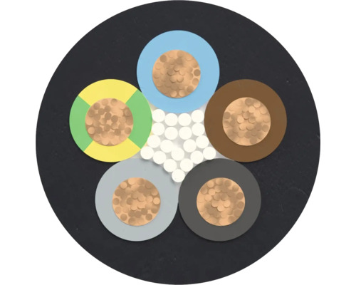 Section transversale d'un câble électrique avec plusieurs conducteurs