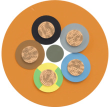 Section transversale d'un câble électrique à plusieurs conducteurs