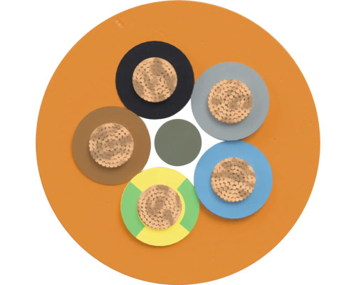 Section transversale d'un câble électrique à plusieurs conducteurs