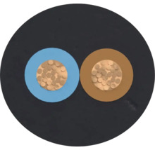 Section transversale d'un câble électrique à deux conducteurs