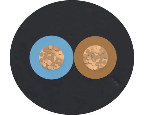 Section transversale d'un câble électrique à deux conducteurs