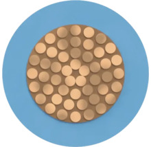 Section transversale d'un câble électrique avec plusieurs conducteurs en cuivre