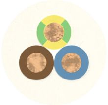 Querschnitt eines dreiadrigen Elektrokabels mit unterschiedlichen Isolationsfarben