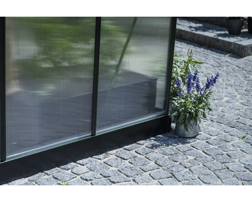 Gewächshaus Detailansicht mit Pflanze im Topf