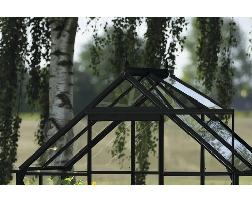 Detailansicht Gewächshaus mit Glas und schwarzem Rahmen vor Baum