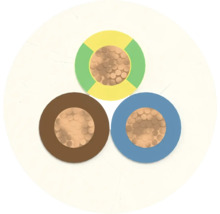 Gros plan d'un câble d'alimentation à trois conducteurs avec des conducteurs en cuivre