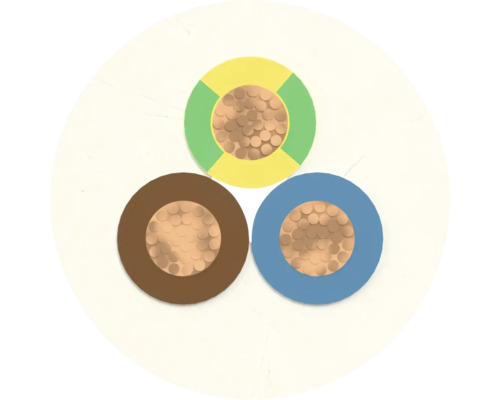 Gros plan d'un câble d'alimentation à trois conducteurs avec des conducteurs en cuivre