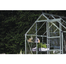 Gewächshaus mit Regalen, Pflanzen, Dekoration und Gartenzubehör vor Bäumen