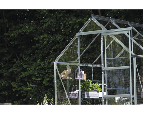 Gewächshaus mit Regalen, Pflanzen, Dekoration und Gartenzubehör vor Bäumen