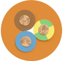 Gros plan d'un câble d'alimentation multiconducteur avec différentes couleurs de fils