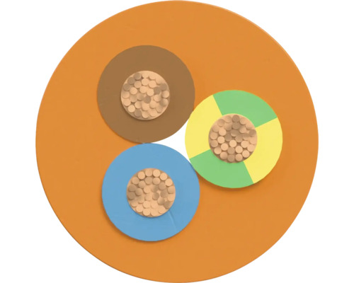 Gros plan d'un câble d'alimentation multiconducteur avec différentes couleurs de fils