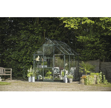 Gewächshaus im Garten mit Pflanzen und Dekoration