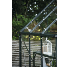 Detailansicht eines Gewächshauses mit Glas und Metallrahmen