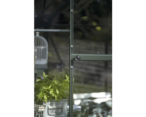 Detailansicht eines Gewächshauses mit Glas und Metallrahmen