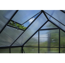 Innenansicht eines Gewächshauses mit geöffnetem Fenster zur Belüftung