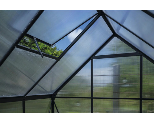 Innenansicht eines Gewächshauses mit geöffnetem Fenster zur Belüftung