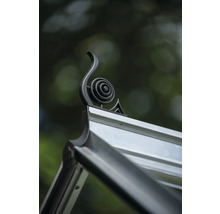 Detailansicht Gewächshaus mit dekorativem Element