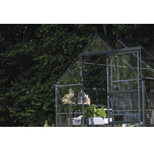 Gewächshaus mit Regalen und Dekorationen vor Bäumen