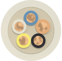 Section transversale d'un câble électrique à cinq fils