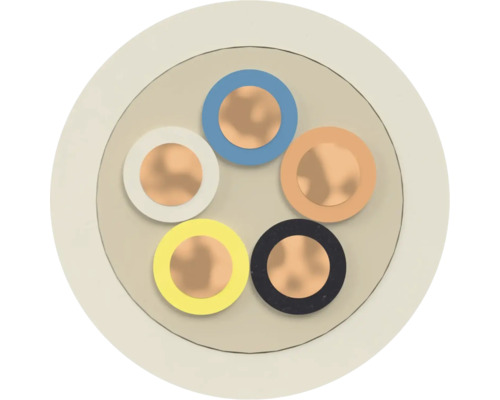 Section transversale d'un câble électrique à cinq fils