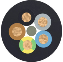 Querschnitt eines Stromkabels mit mehreren Adern