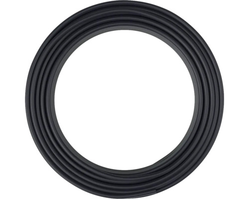 Schwarzer Dichtungsring