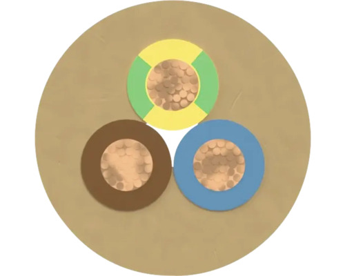 Coupe transversale d'un câble électrique à trois conducteurs