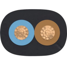 Section transversale d'un câble électrique à deux conducteurs