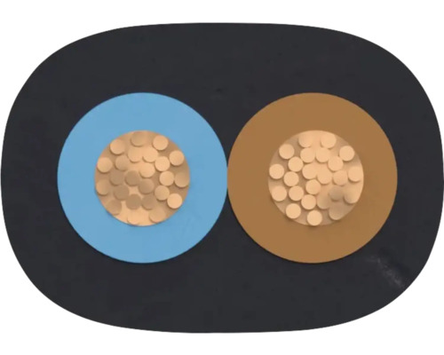 Section transversale d'un câble électrique à deux conducteurs