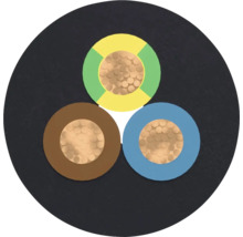 Querschnitt eines dreiadrigen Elektrokabels