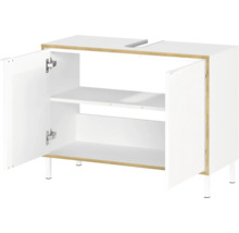 Meuble sous-lavabo avec deux portes et étagères intérieures