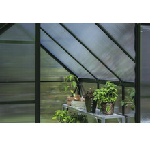 Detailansicht eines Gewächshauses mit Pflanzenregal und verschiedenen Topfpflanzen