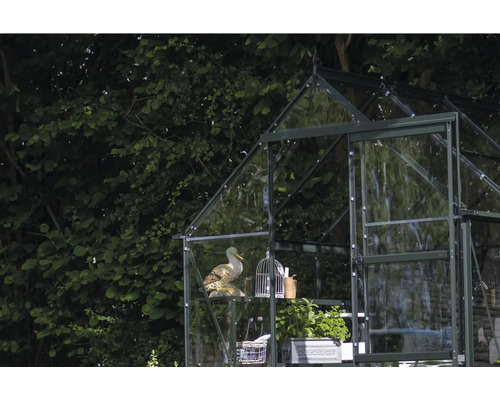 Gewächshaus mit Regalen, Dekoration und geöffneter Tür vor Baum