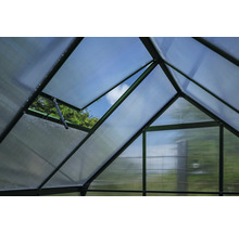 Innenansicht eines Gewächshauses mit geöffnetem Fenster